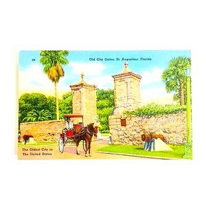 Vintage Linen Postcard St. Augustine Florida